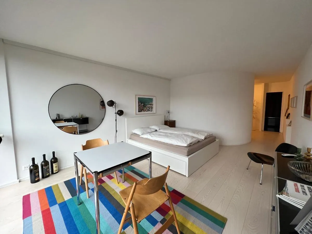 Komfortables Apartment Im Herzen Von Basel Mit Sicht Auf Den Rhein