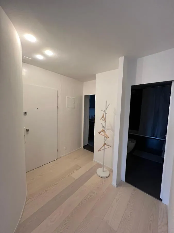 Komfortables Apartment Im Herzen Von Basel Mit Sicht Auf Den Rhein